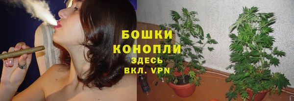СК Инсар