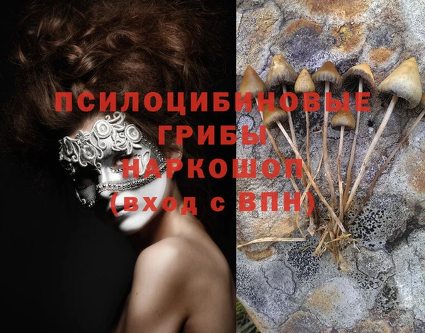 синтетический гашиш Инта