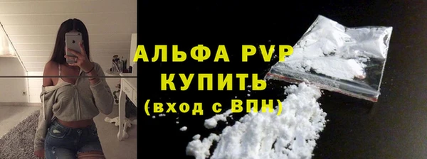 СК Инсар