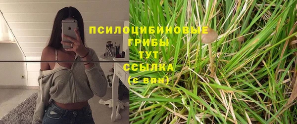 СК Инсар
