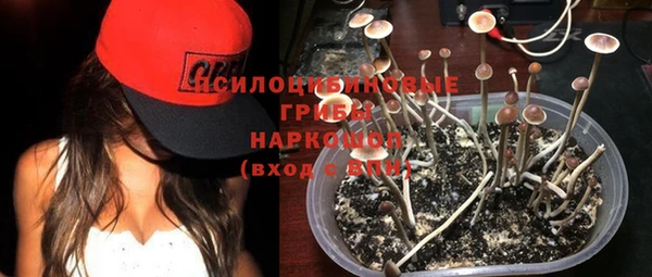 СК Инсар
