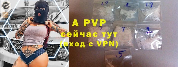 СК Инсар